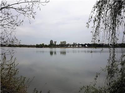 SUPERB- residential area, 4586 sqm land LAKE shore, for sale, Buftea