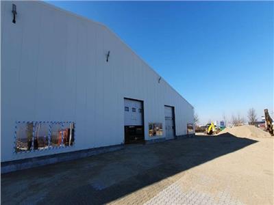 Warehouse 1650 sq, m and land 7000 sq. m for sale, Pitesti, Arges county