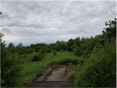 34500 sqm land for sale, Teiu village, Arges county