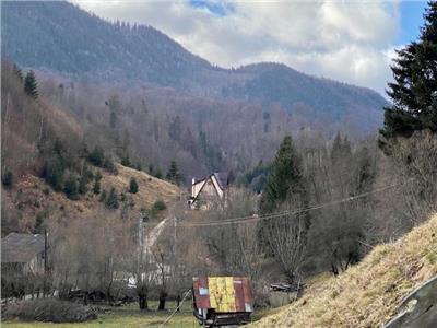 Vila 6 camere, inchiriere scurta durata, Valea Cheii, Dambovicioara