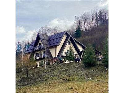 5-bedroom villa for short term rental, Valea Cheii, Dambovicioara