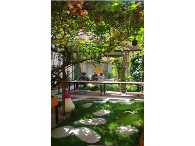 (VIDEO) Vila splendida, 6 camere cu gradina, Batistei, ideala pentru restaurant/clinica/salon/birouri/fashion showroom