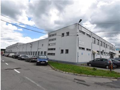 Fantastic Opportunity, Industrial Premises for Lease, Cisnadie, Sibiu County
