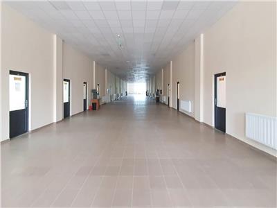 1500 sqm office spaces for long term rental, Vaslui