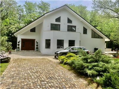 Splendid 4-bedroom villa for sale, Paulesti Gageni, Prahova county
